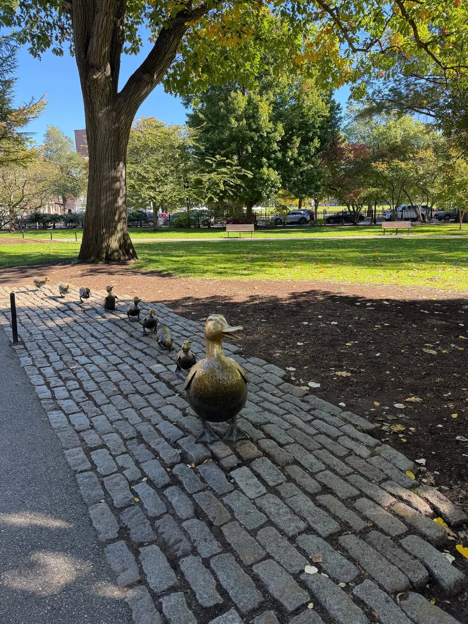The bronze Make Way for Ducklings statues marching in a line through the Public Garden